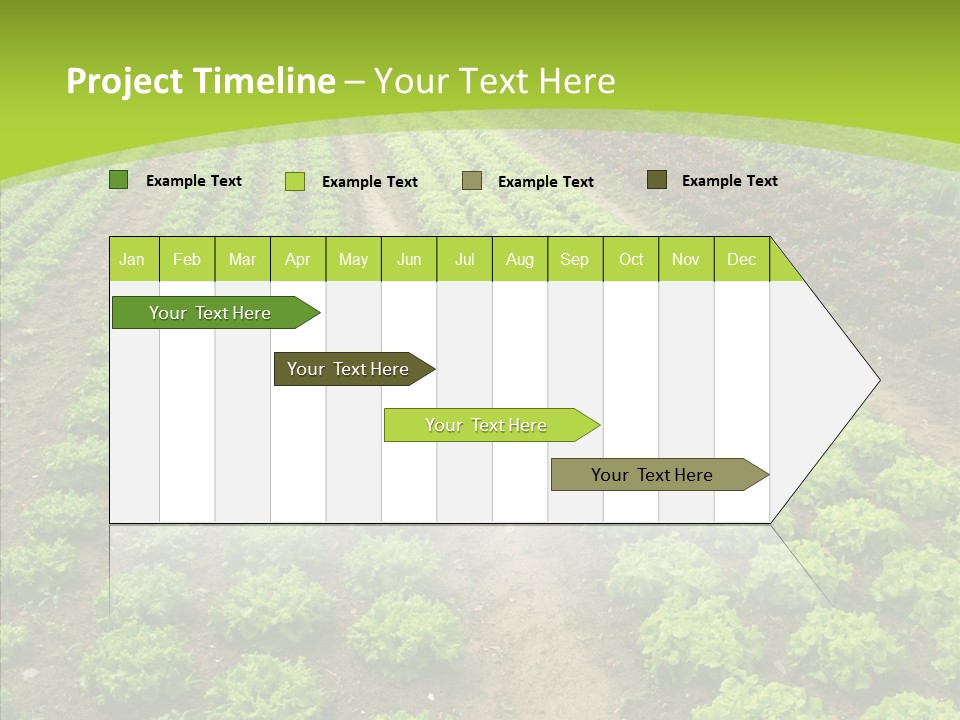 Outdoors Farmland Vitamin PowerPoint Template
