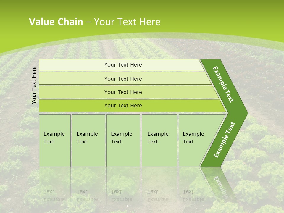 Outdoors Farmland Vitamin PowerPoint Template