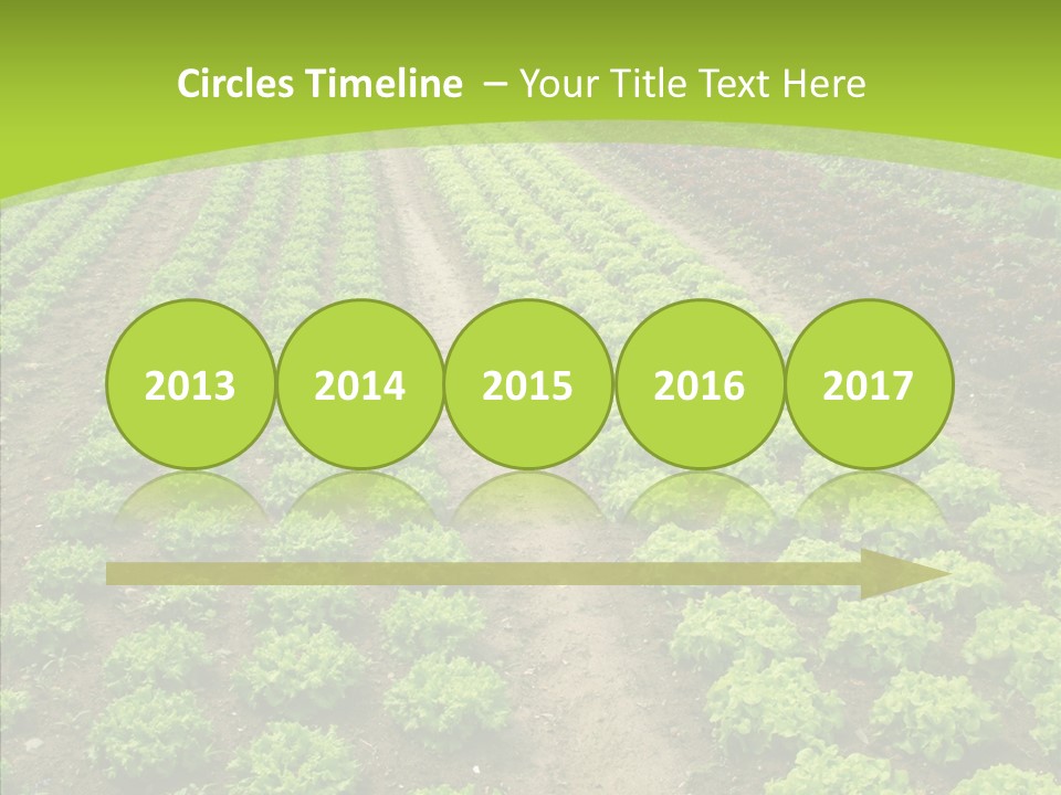 Outdoors Farmland Vitamin PowerPoint Template