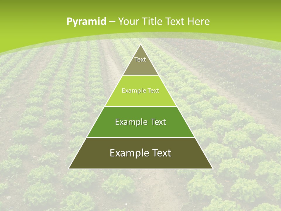 Outdoors Farmland Vitamin PowerPoint Template