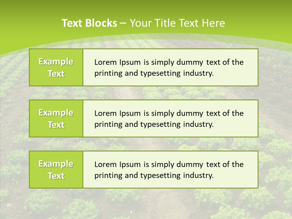 Outdoors Farmland Vitamin PowerPoint Template