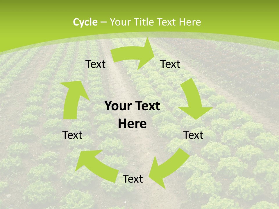 Outdoors Farmland Vitamin PowerPoint Template