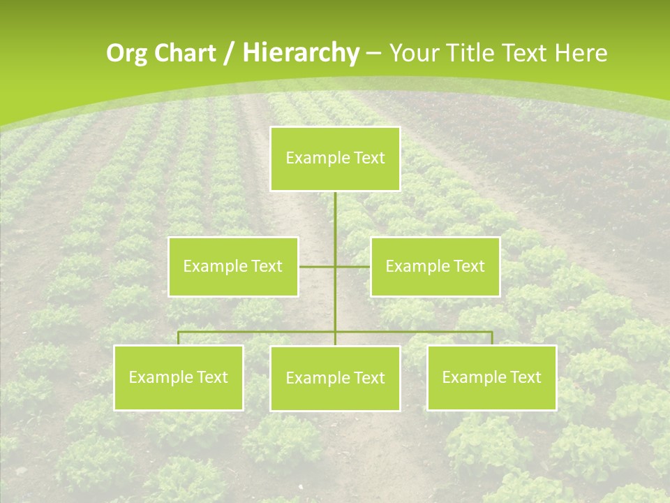 Outdoors Farmland Vitamin PowerPoint Template