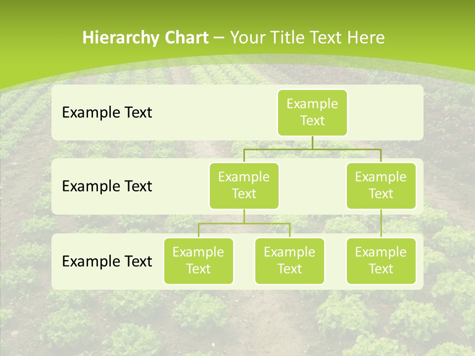 Outdoors Farmland Vitamin PowerPoint Template