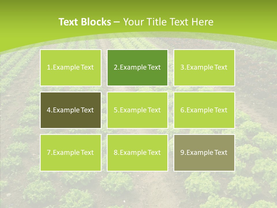 Outdoors Farmland Vitamin PowerPoint Template