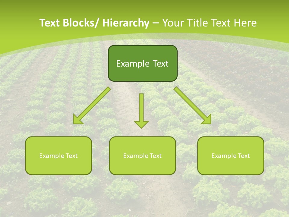 Outdoors Farmland Vitamin PowerPoint Template