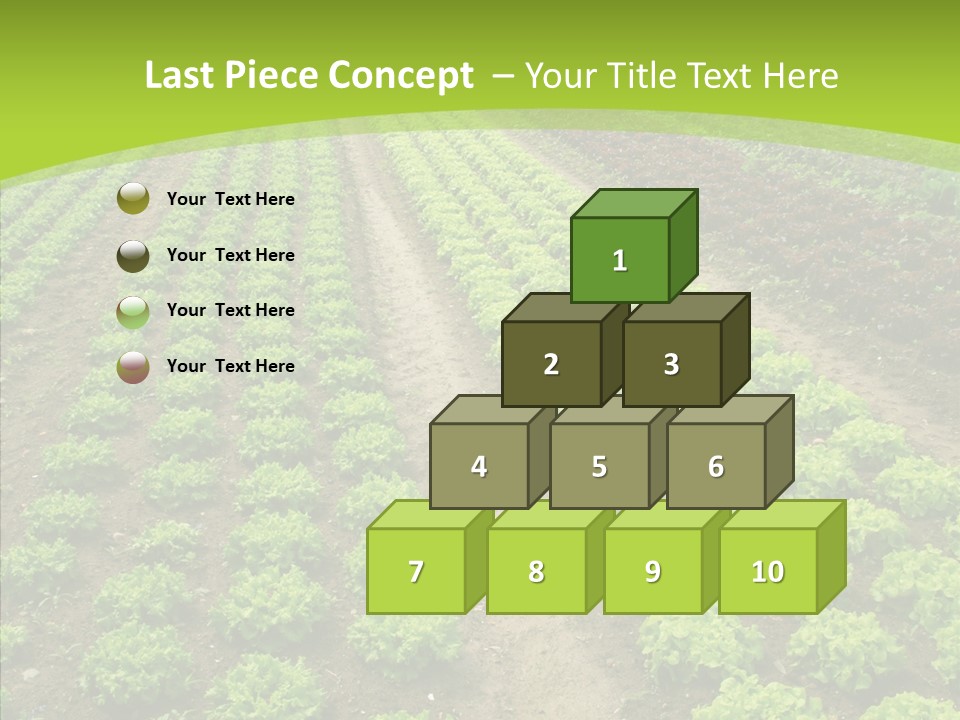 Outdoors Farmland Vitamin PowerPoint Template