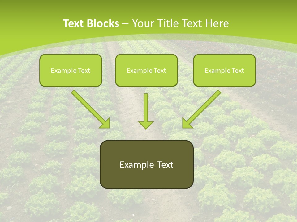 Outdoors Farmland Vitamin PowerPoint Template