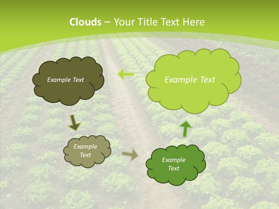 Outdoors Farmland Vitamin PowerPoint Template