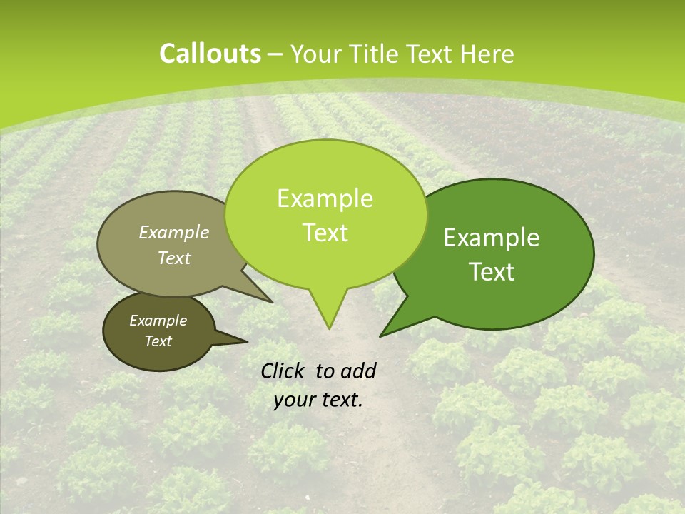 Outdoors Farmland Vitamin PowerPoint Template