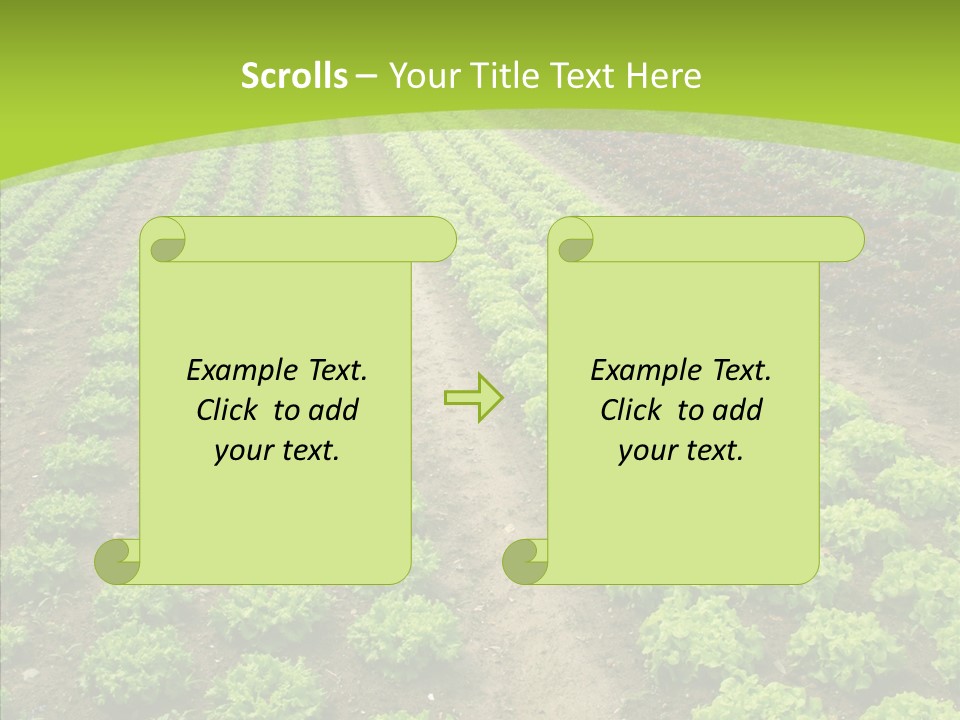 Outdoors Farmland Vitamin PowerPoint Template