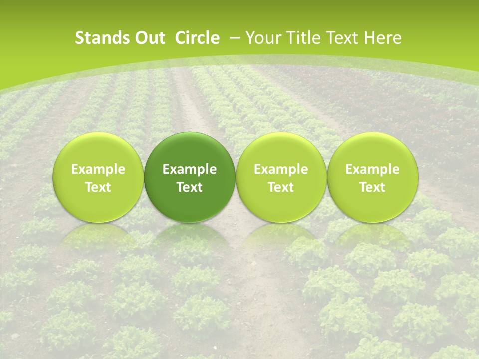 Outdoors Farmland Vitamin PowerPoint Template