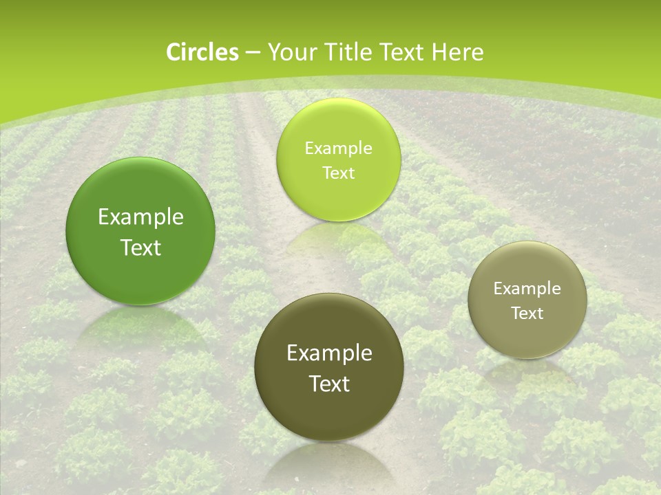 Outdoors Farmland Vitamin PowerPoint Template