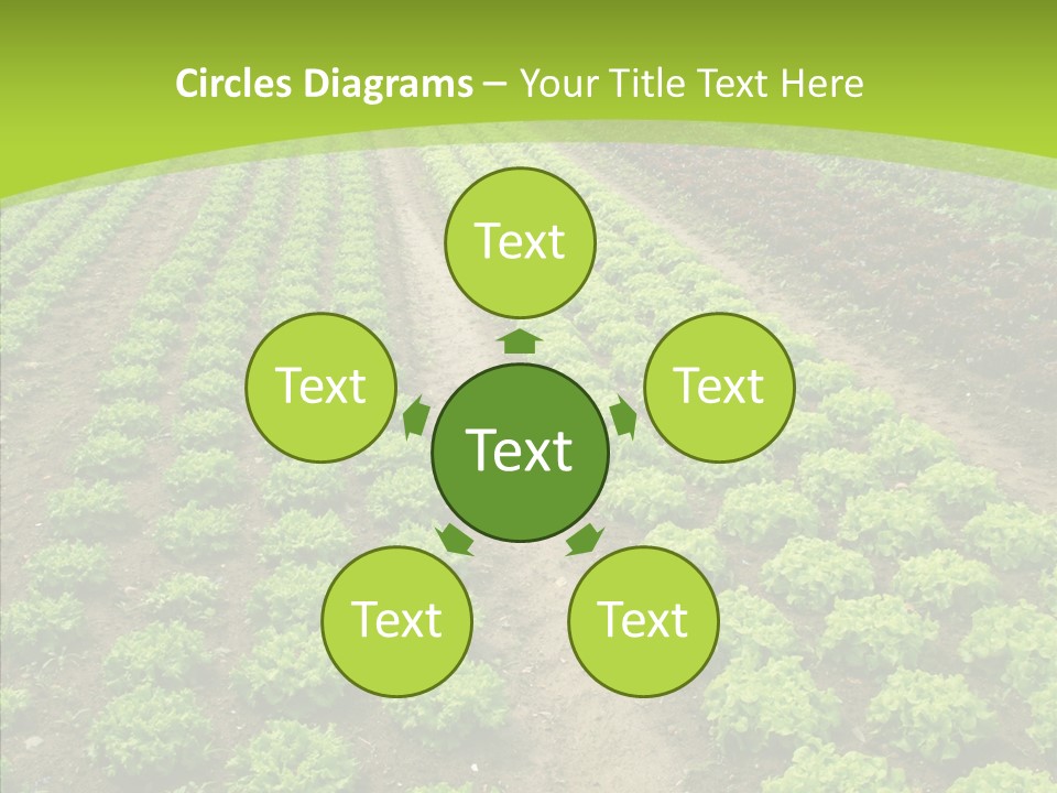 Outdoors Farmland Vitamin PowerPoint Template