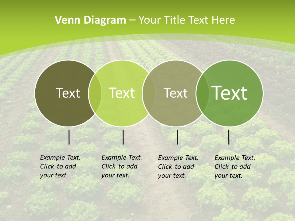 Outdoors Farmland Vitamin PowerPoint Template