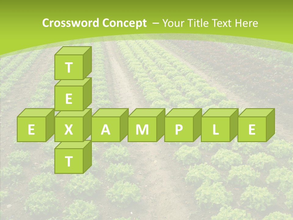 Outdoors Farmland Vitamin PowerPoint Template