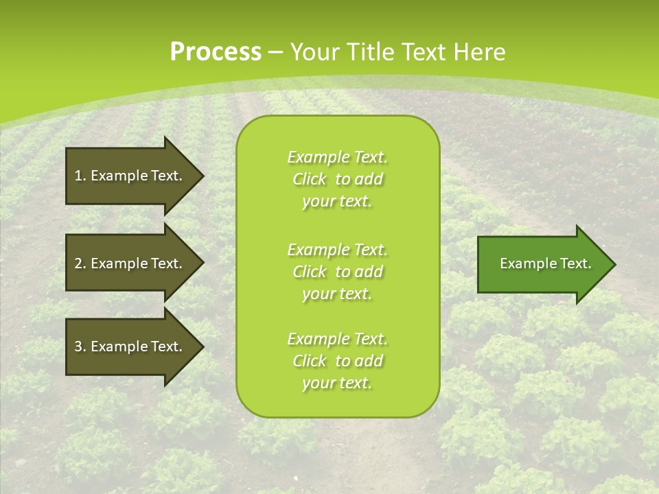 Outdoors Farmland Vitamin PowerPoint Template