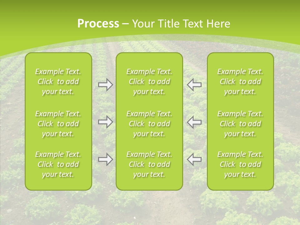 Outdoors Farmland Vitamin PowerPoint Template
