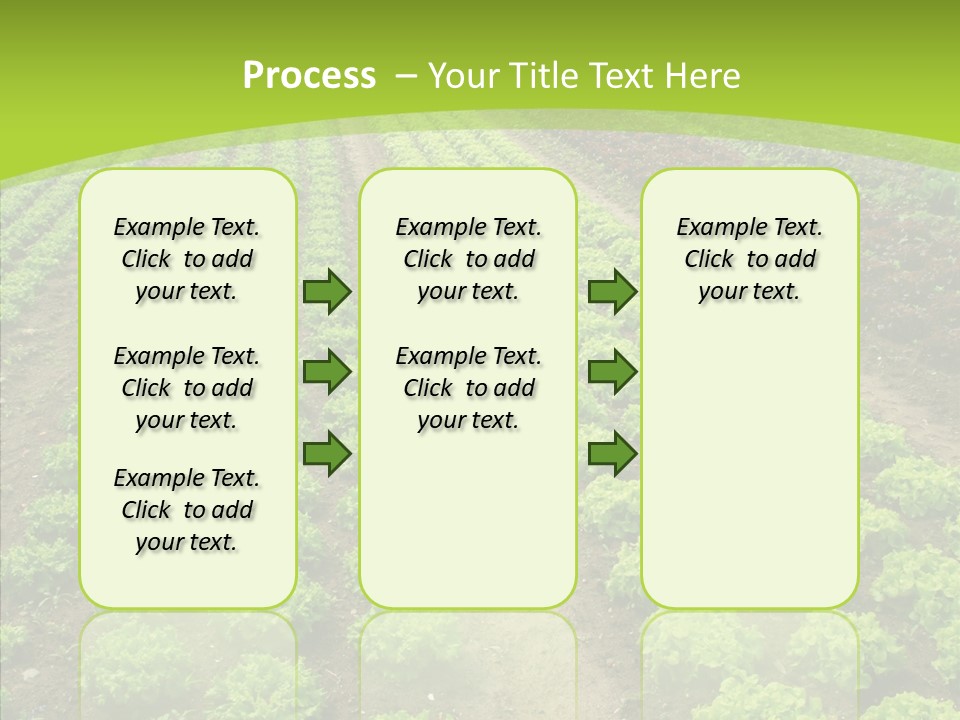 Outdoors Farmland Vitamin PowerPoint Template
