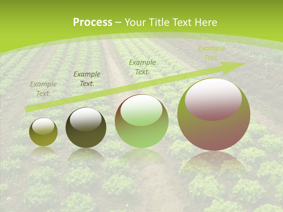 Outdoors Farmland Vitamin PowerPoint Template