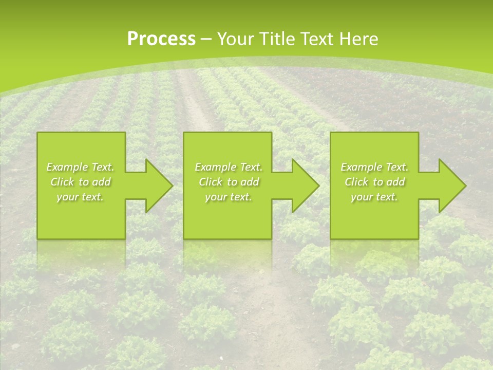 Outdoors Farmland Vitamin PowerPoint Template