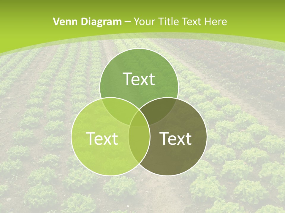 Outdoors Farmland Vitamin PowerPoint Template