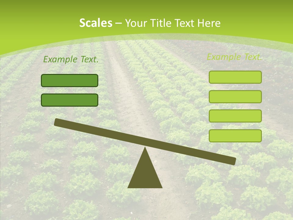 Outdoors Farmland Vitamin PowerPoint Template