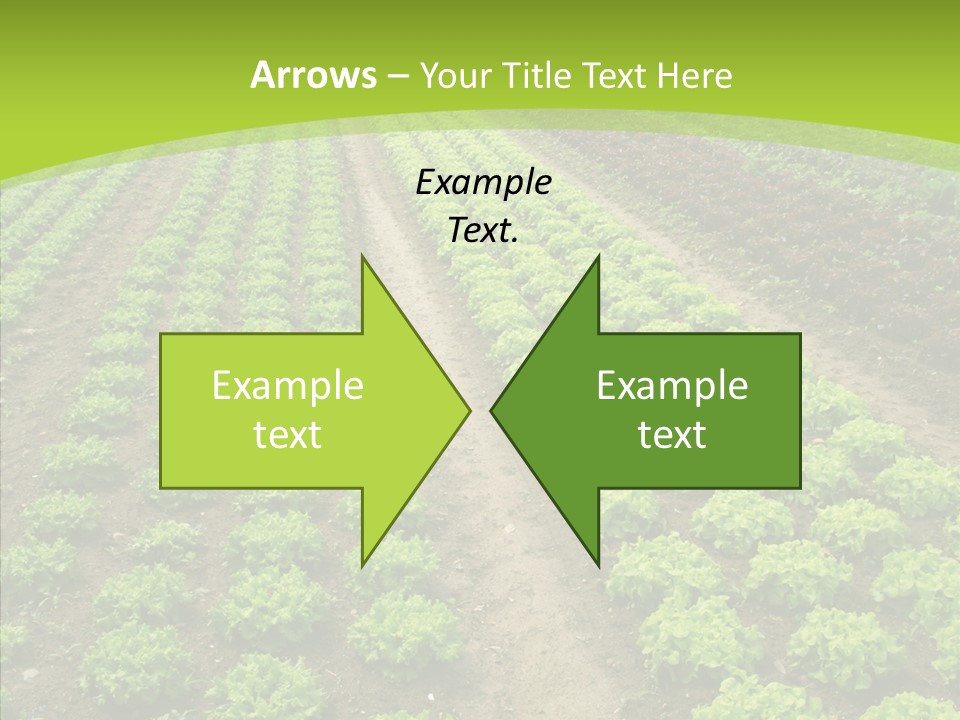 Outdoors Farmland Vitamin PowerPoint Template