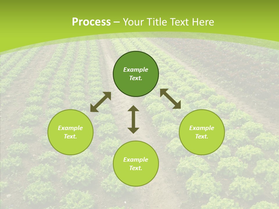 Outdoors Farmland Vitamin PowerPoint Template