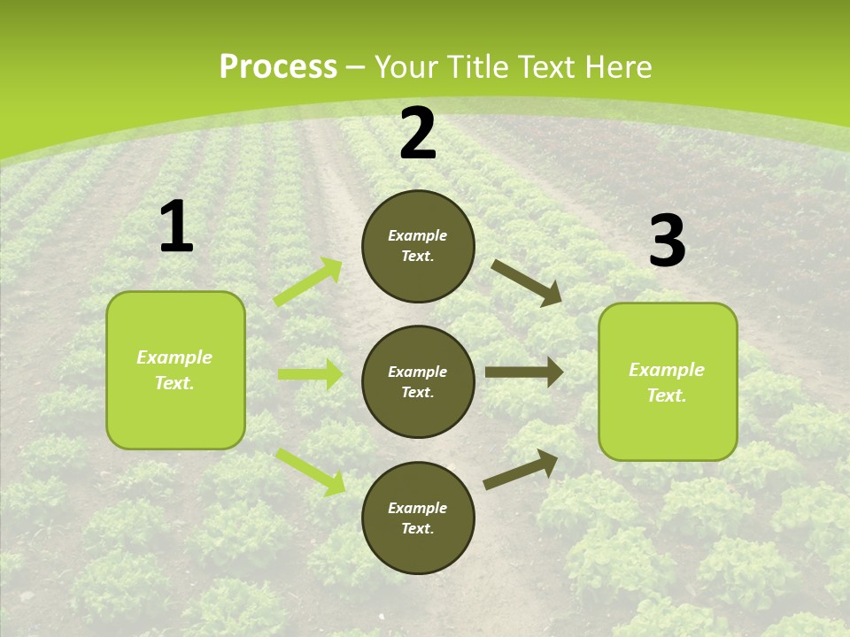 Outdoors Farmland Vitamin PowerPoint Template