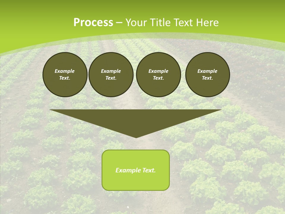 Outdoors Farmland Vitamin PowerPoint Template