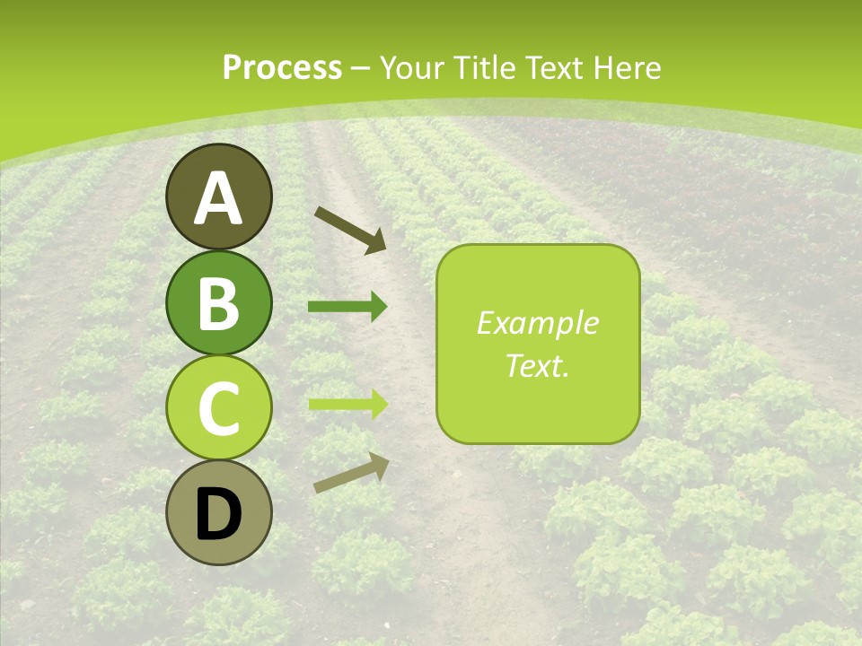 Outdoors Farmland Vitamin PowerPoint Template