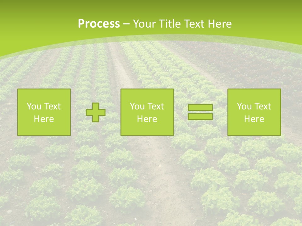 Outdoors Farmland Vitamin PowerPoint Template