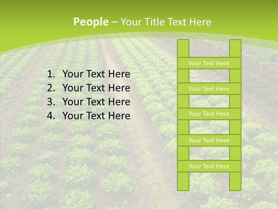 Outdoors Farmland Vitamin PowerPoint Template