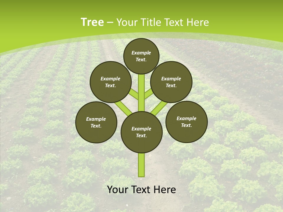 Outdoors Farmland Vitamin PowerPoint Template