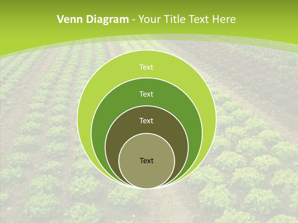 Outdoors Farmland Vitamin PowerPoint Template