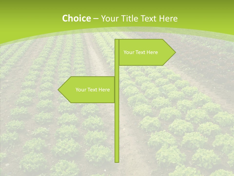 Outdoors Farmland Vitamin PowerPoint Template