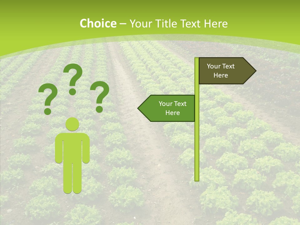 Outdoors Farmland Vitamin PowerPoint Template