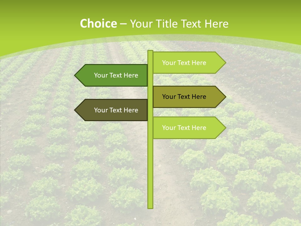 Outdoors Farmland Vitamin PowerPoint Template