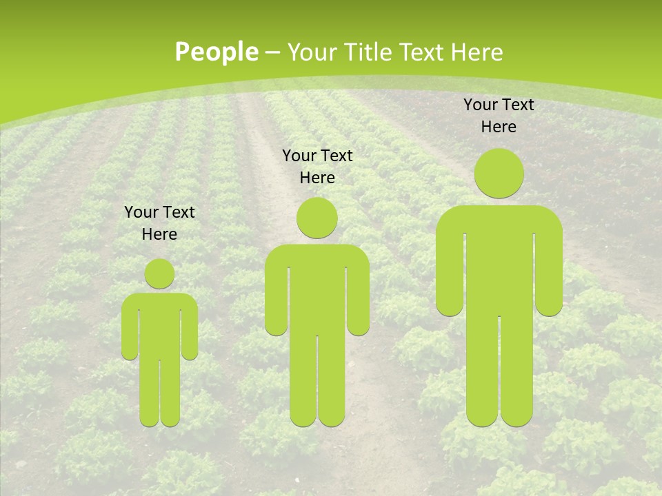 Outdoors Farmland Vitamin PowerPoint Template