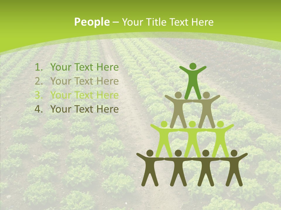 Outdoors Farmland Vitamin PowerPoint Template