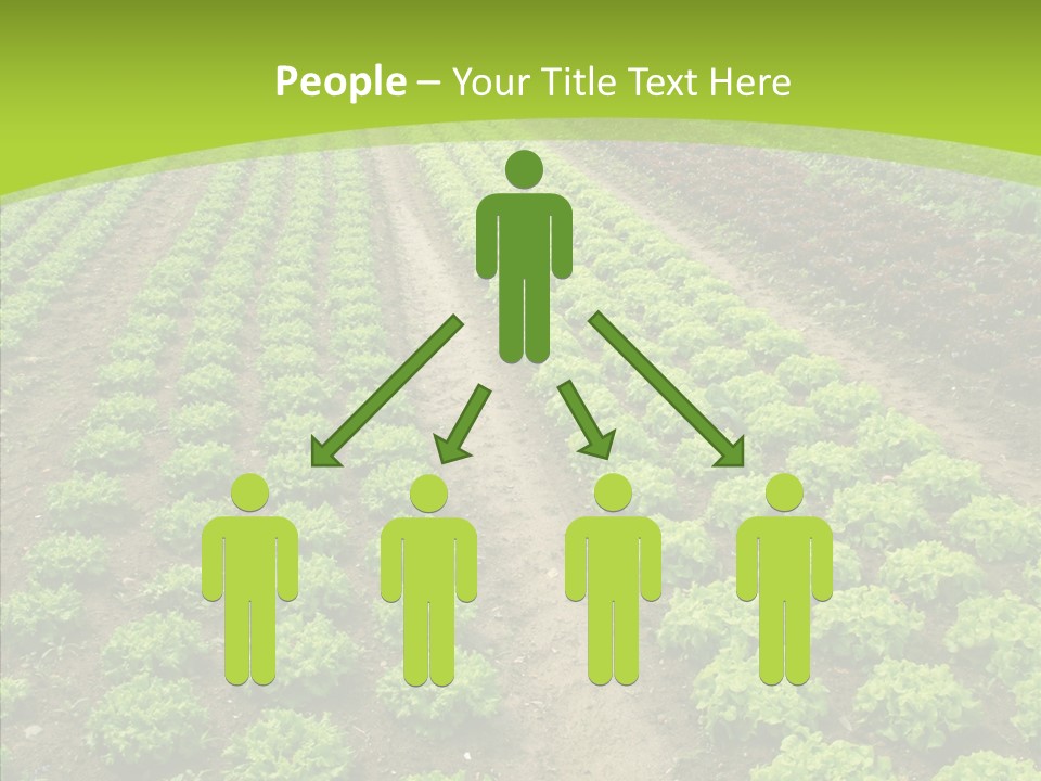 Outdoors Farmland Vitamin PowerPoint Template