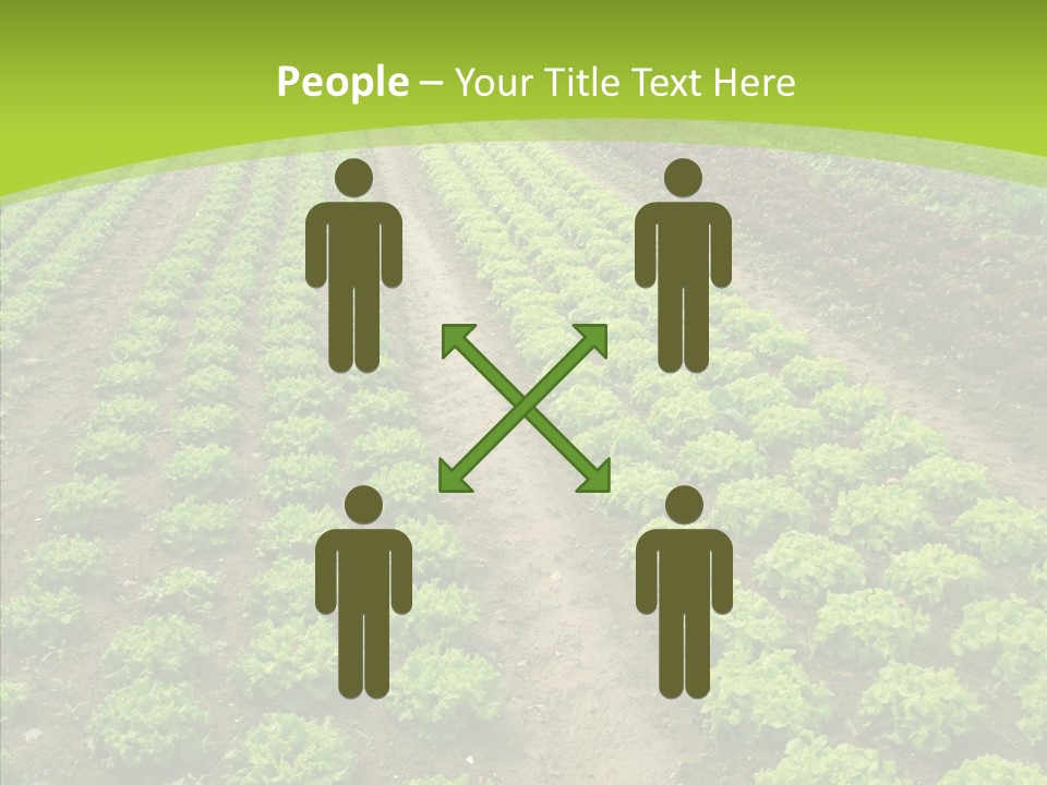 Outdoors Farmland Vitamin PowerPoint Template