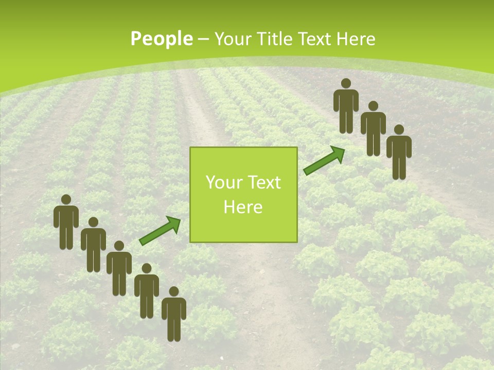 Outdoors Farmland Vitamin PowerPoint Template