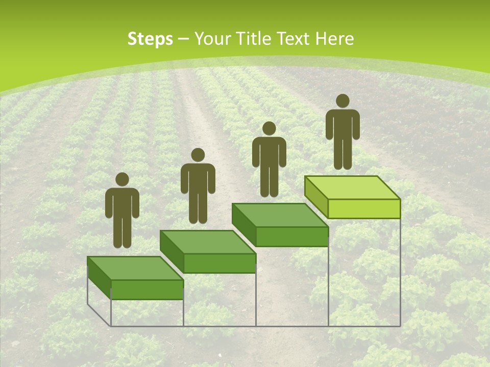 Outdoors Farmland Vitamin PowerPoint Template