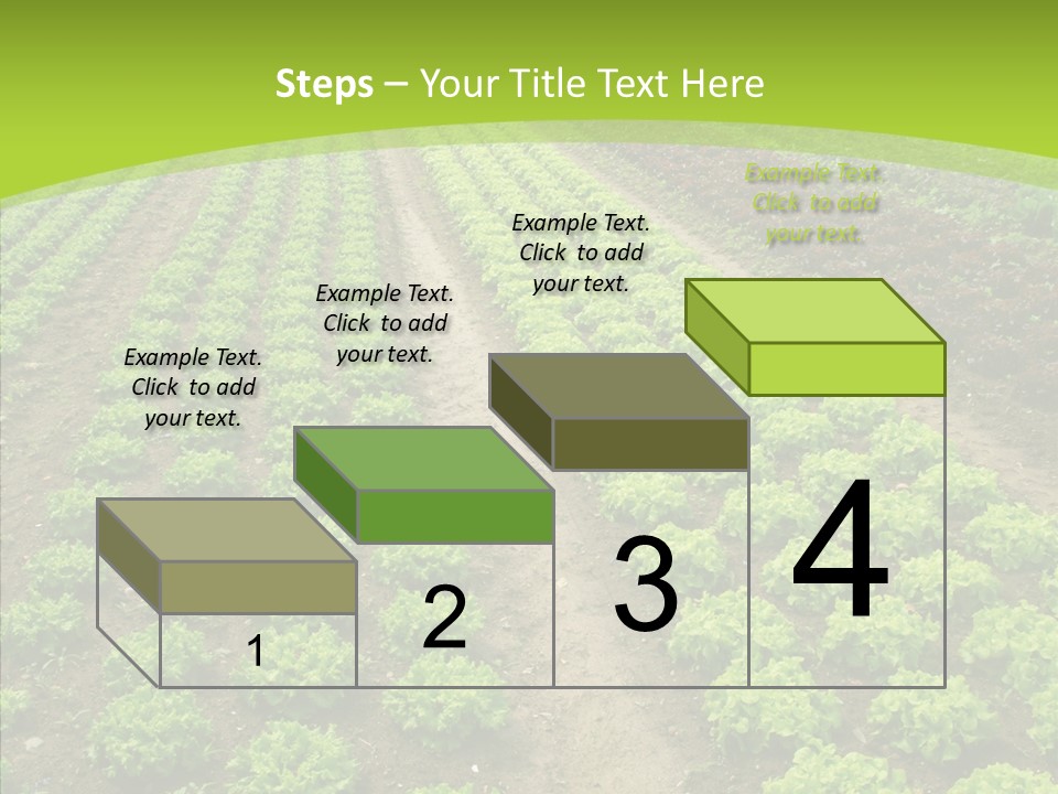 Outdoors Farmland Vitamin PowerPoint Template