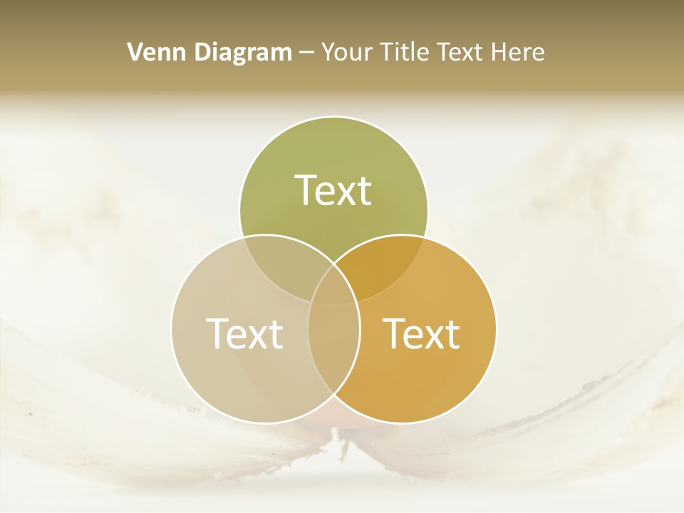 String Present Reflections PowerPoint Template