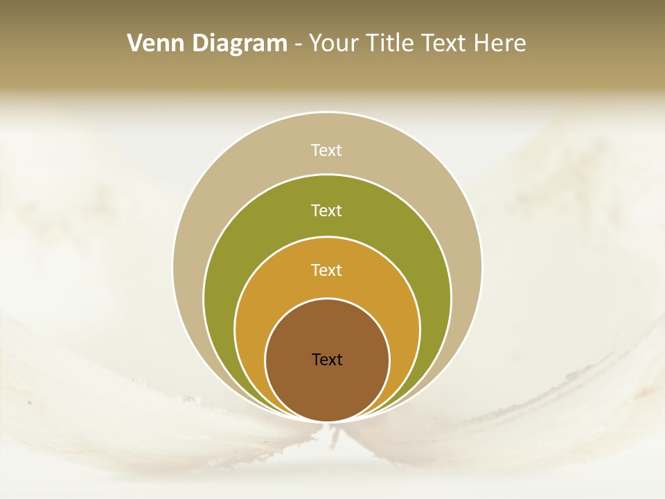 String Present Reflections PowerPoint Template