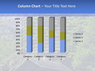 Vacations Forest Home PowerPoint Template