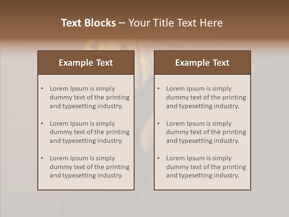Laces Boudoir Face PowerPoint Template